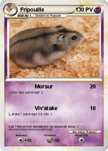 Pokemon Fripouille