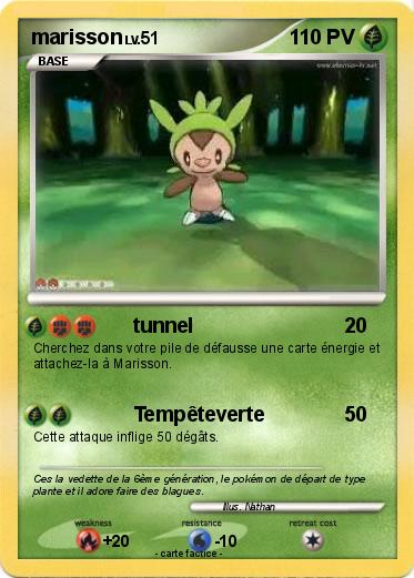 Pokemon marisson