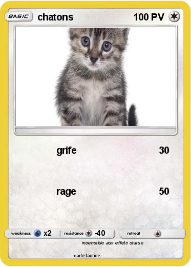 Pokemon chatons