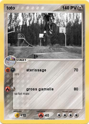 Pokemon toto 