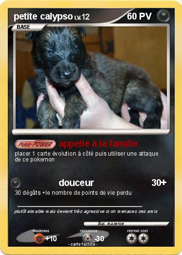 Pokemon petite calypso