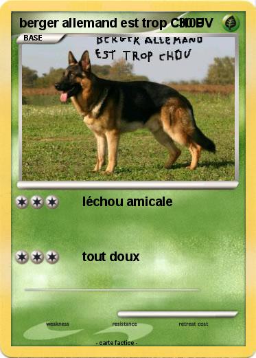 Pokemon berger allemand est trop CH0U