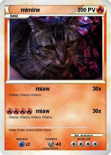 Pokemon mimine
