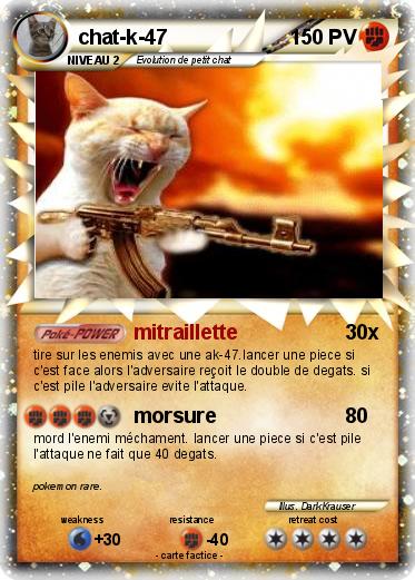 Pokemon chat-k-47