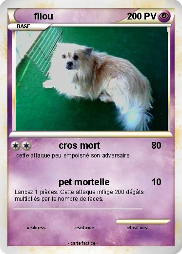 Pokemon filou