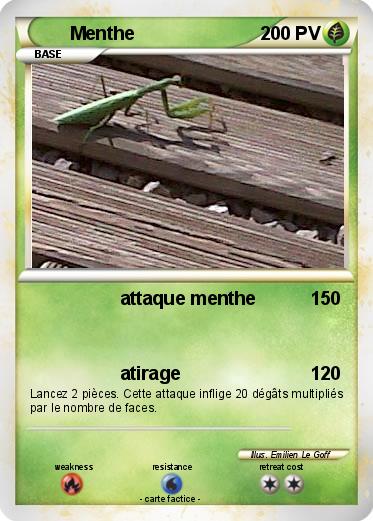 Pokemon Menthe
