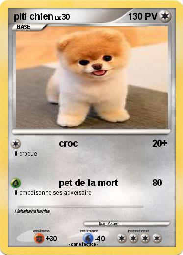 Pokemon piti chien