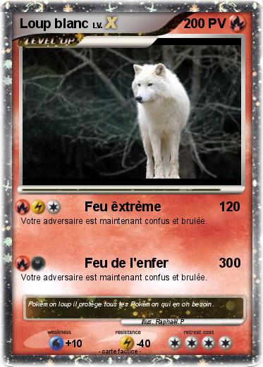 Pokemon Loup blanc
