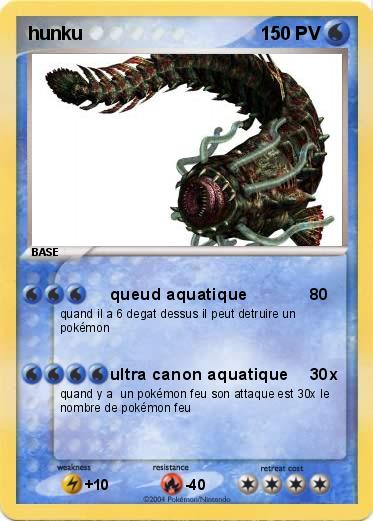 Pokemon hunku