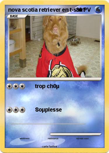Pokemon nova scotia retriever en t-shirt