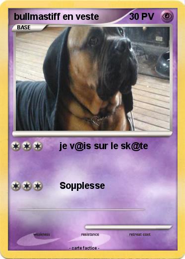 Pokemon bullmastiff en veste
