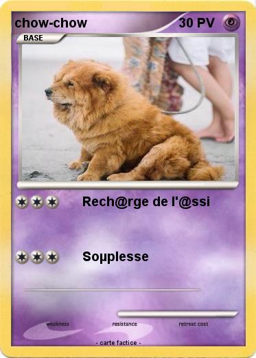 Pokemon chow-chow