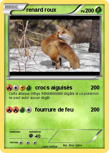 Pokemon renard roux