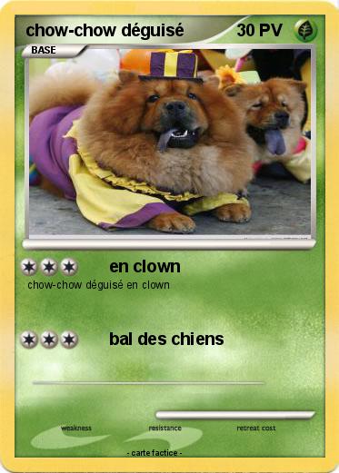 Pokemon chow-chow déguisé