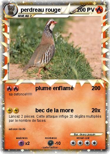 Pokemon perdreau rouge