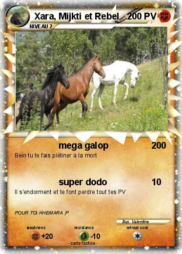 Pokemon Xara, Mijkti et Rebel