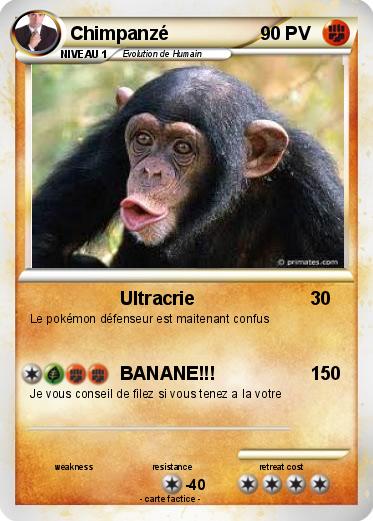 Pokemon Chimpanzé