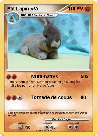 Pokemon Ptit Lapin