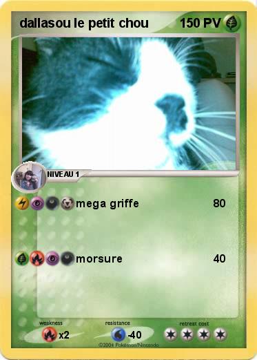 Pokemon dallasou le petit chou