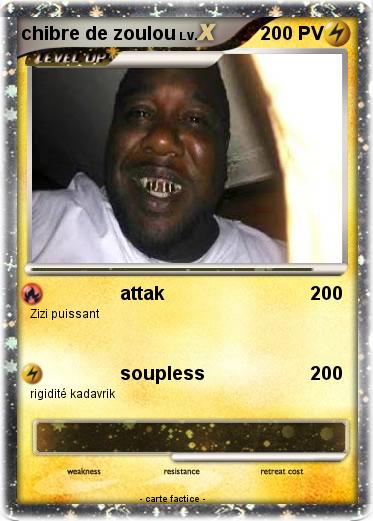 Pokemon chibre de zoulou
