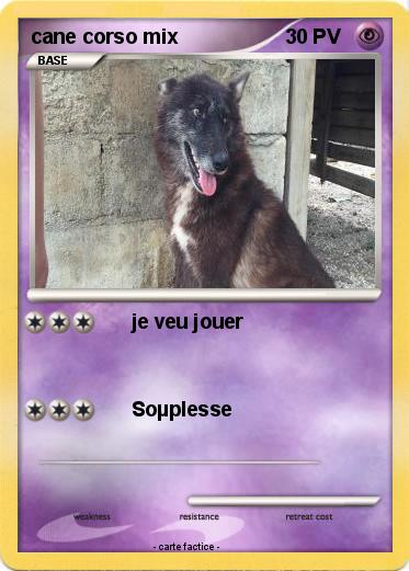 Pokemon cane corso mix
