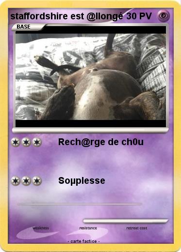 Pokemon staffordshire est @llongé