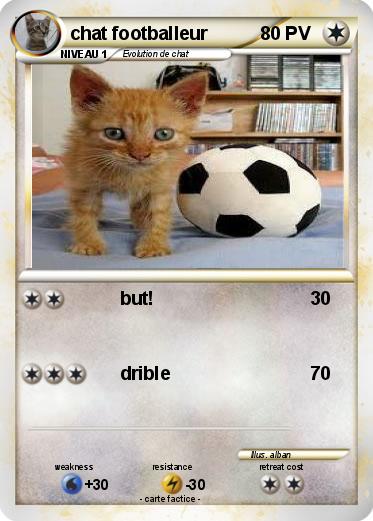 Pokemon chat footballeur