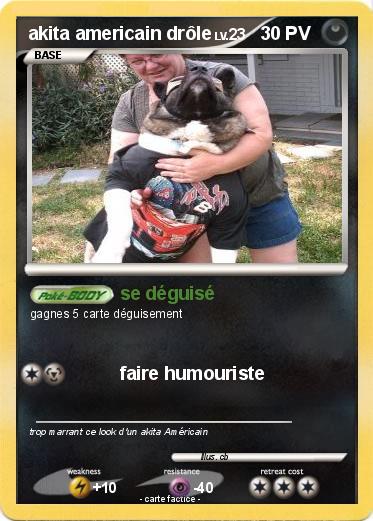 Pokemon akita americain drôle