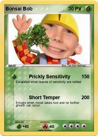 Pokemon Bonsai Bob