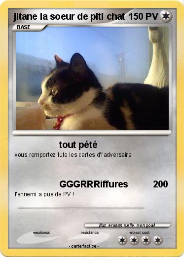 Pokemon jitane la soeur de piti chat