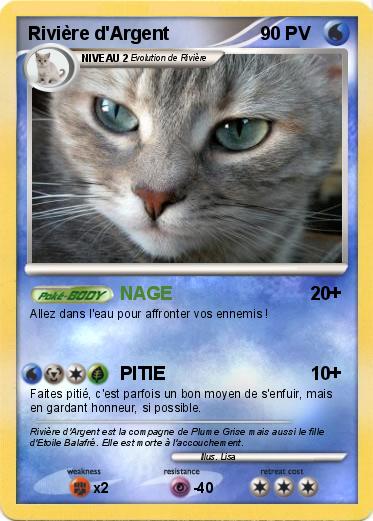 Pokemon Rivière d'Argent