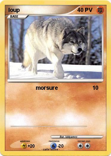 Pokemon loup