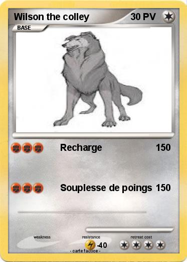 Pokemon Wilson the colley