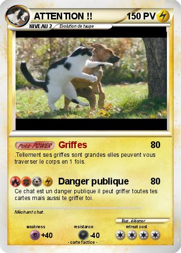 Pokemon ATTENTION !!