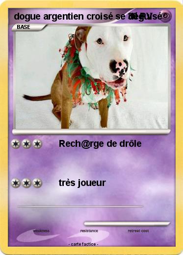 Pokemon dogue argentien croisé se déguisé