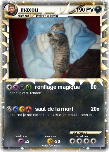 Pokemon maxou