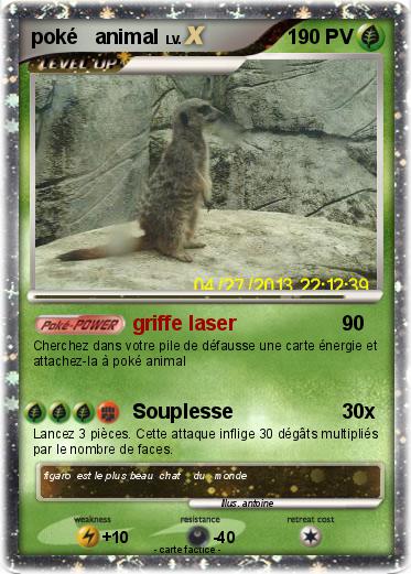 Pokemon poké   animal