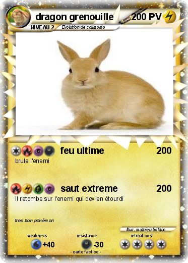 Pokemon dragon grenouille