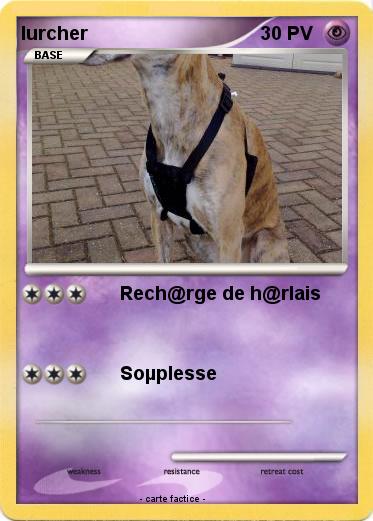 Pokemon lurcher