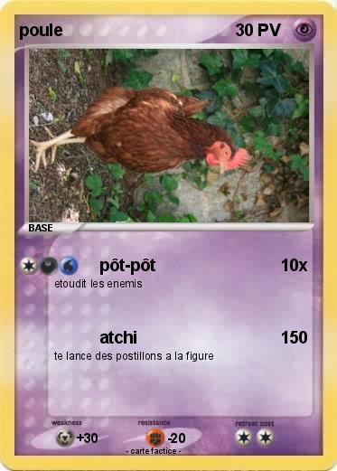 Pokemon poule