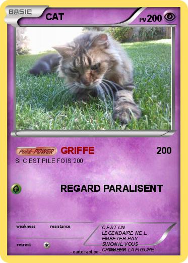 Pokemon CAT