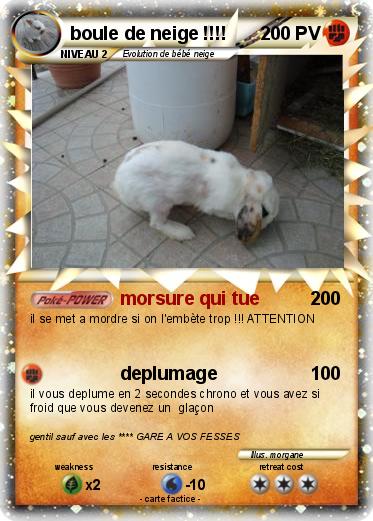 Pokemon boule de neige !!!!