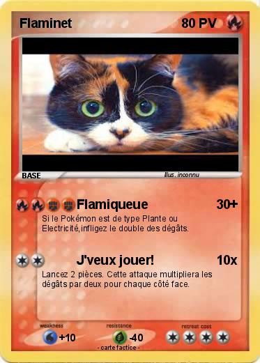 Pokemon Flaminet