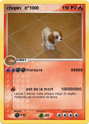 Pokemon chopin   n°1000  