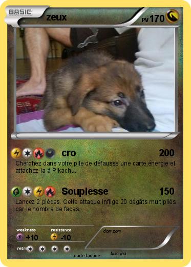 Pokemon zeux