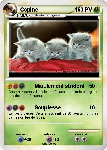 Pokemon Copine