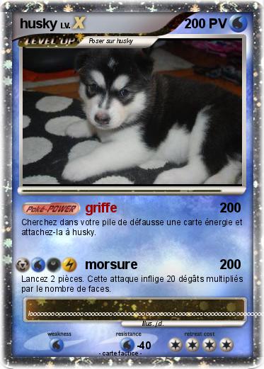 Pokemon husky