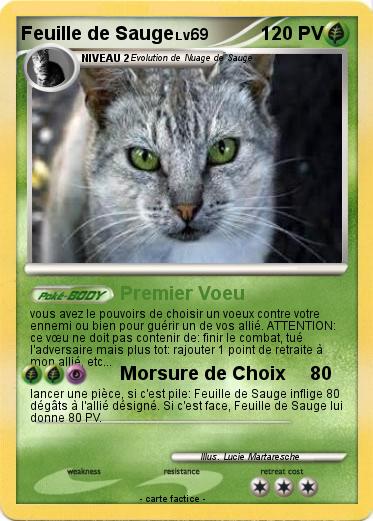 Pokemon Feuille de Sauge