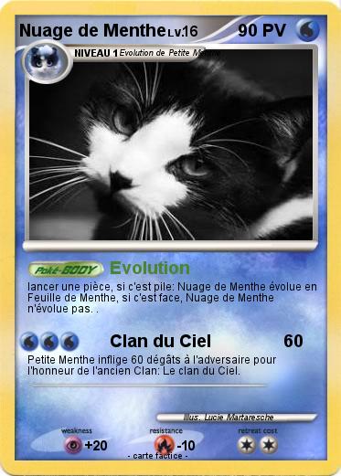 Pokemon Nuage de Menthe