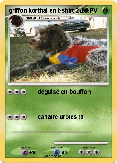 Pokemon griffon korthal en t-shirt 2